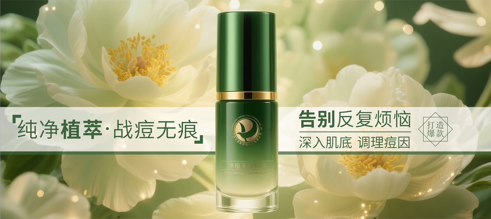 ��������ϵ��